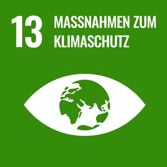 SDG_13_Icon.jpg